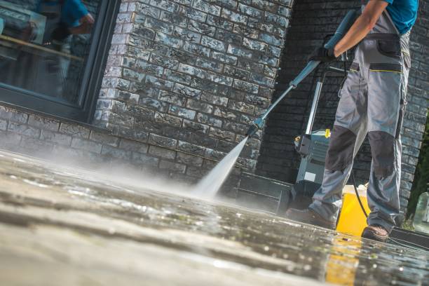 Best Animal Enclosure Cleaning  in Lakeview, GA